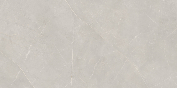 Керамический гранит NL02 60x120x10 Полир.